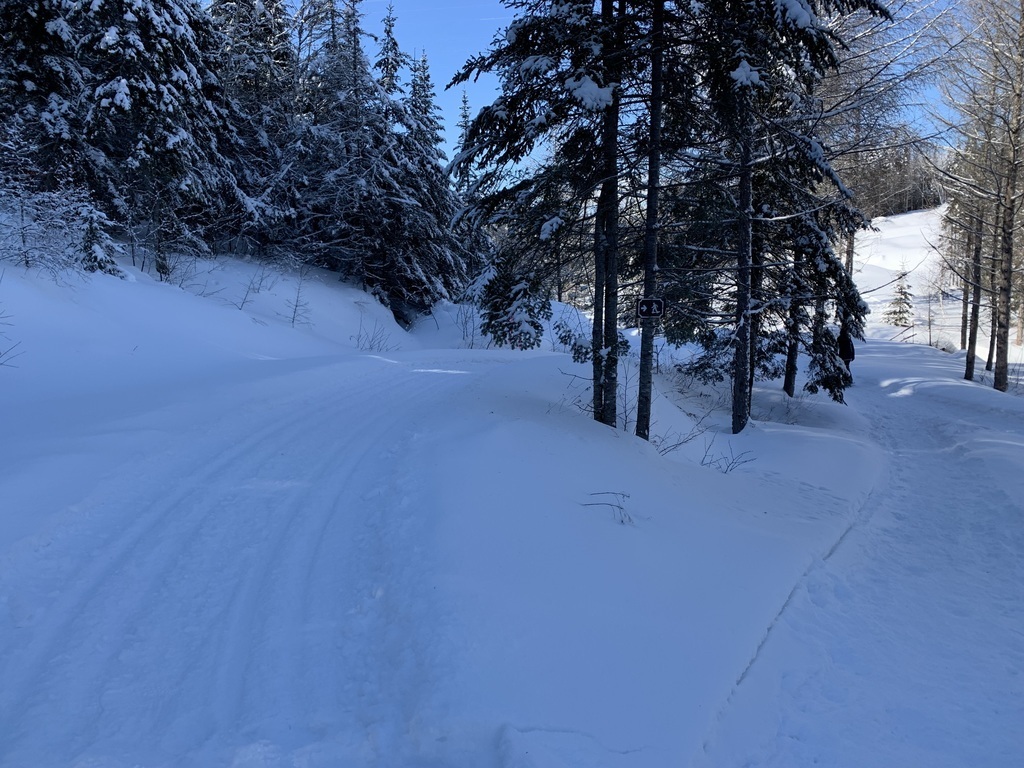 Snowshoeing trails in the Royal Laurentian Golf community where we live