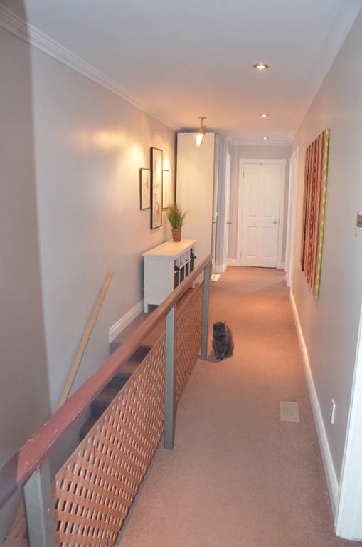 1st floor: Bedrooms and main bathroom (with Tiger, our former 11 y/o cat (RIP)....