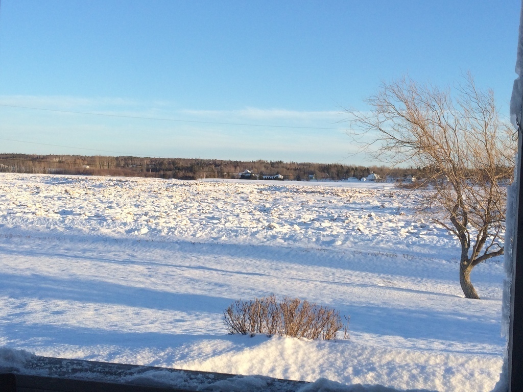 The tide is out cold.....