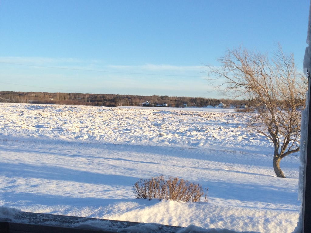 The tide is out cold.....