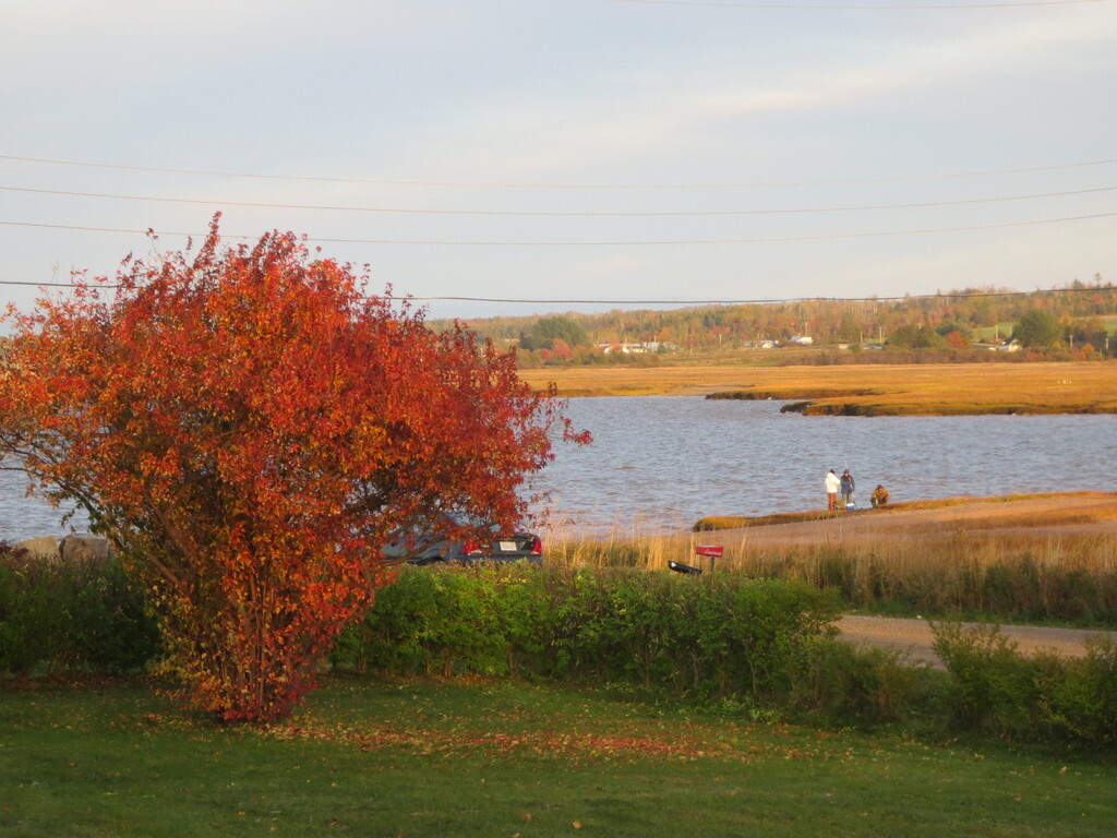 View to the water in October