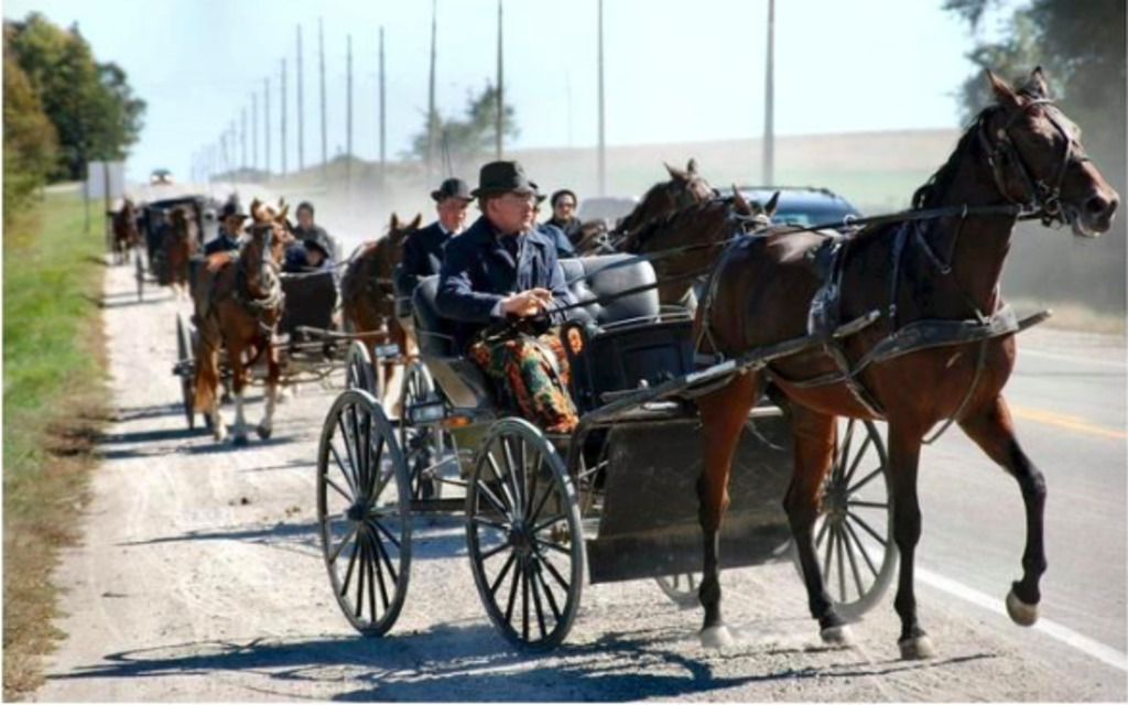 Many nearby farms are settled by Old Order Mennonites