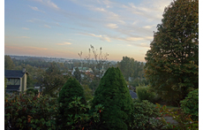 View from front steps