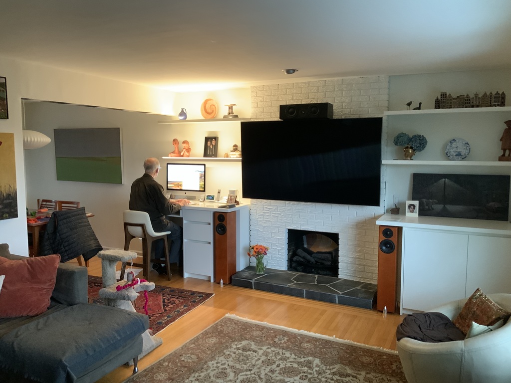 Livingroom  tv, desk dining area