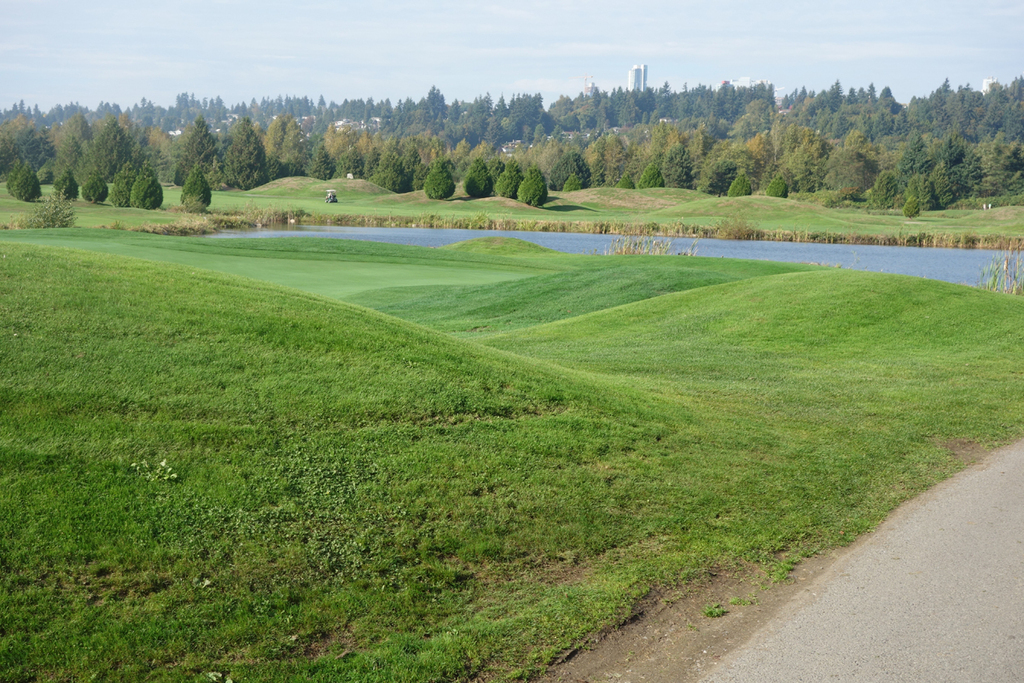 Riverway public golf course 5 minutes away