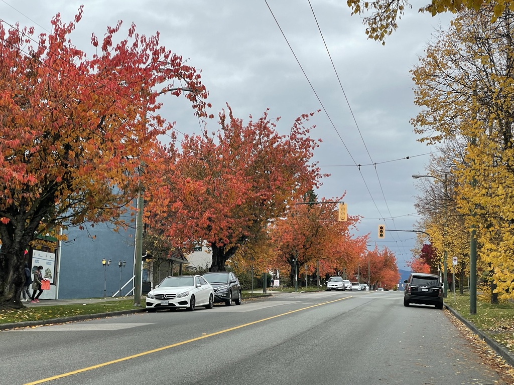 Fall is a beautiful time to come to our area