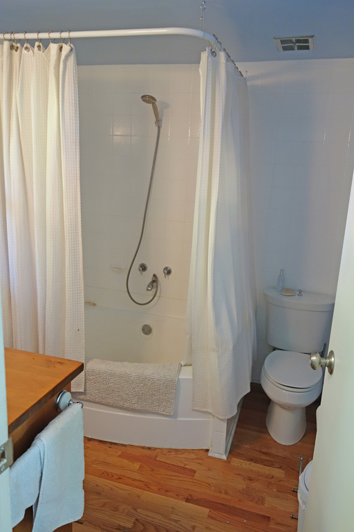 Second bathroom with tub