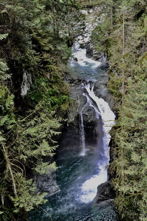 Lynn Creek, from Suspension Bridge, 2 km from our home.