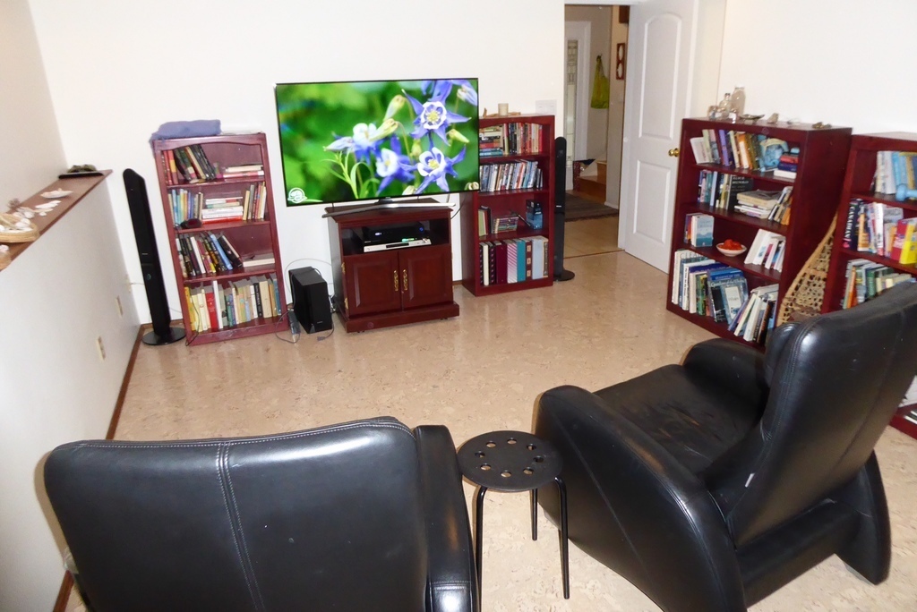 Library and television