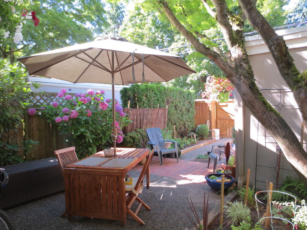 Backyard with parking