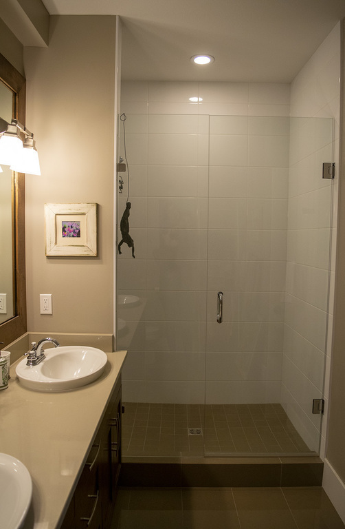 shower in downstairs bathroom