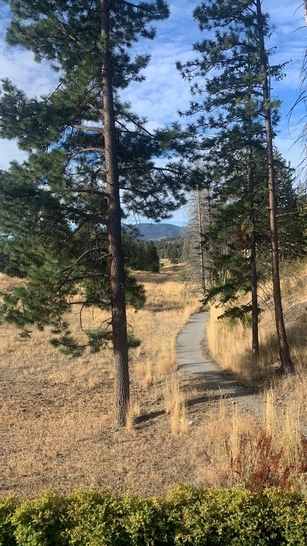 view from our balcony