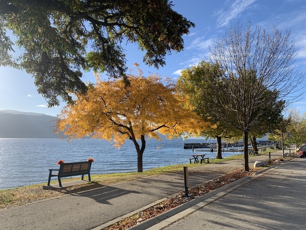 Fall day on Beach Ave