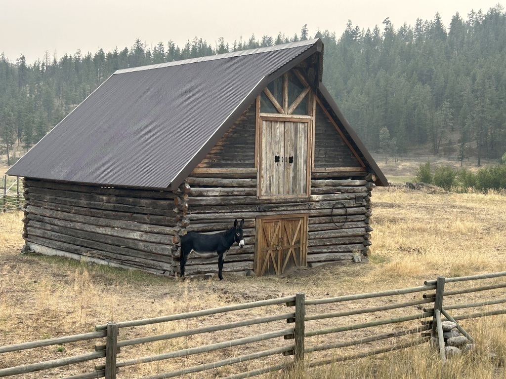 Old cabin on a drive to Keremeos