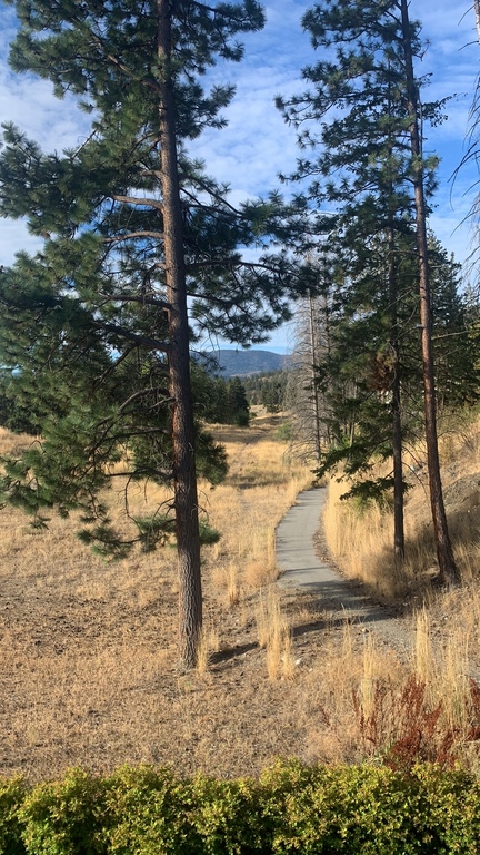 view from our balcony