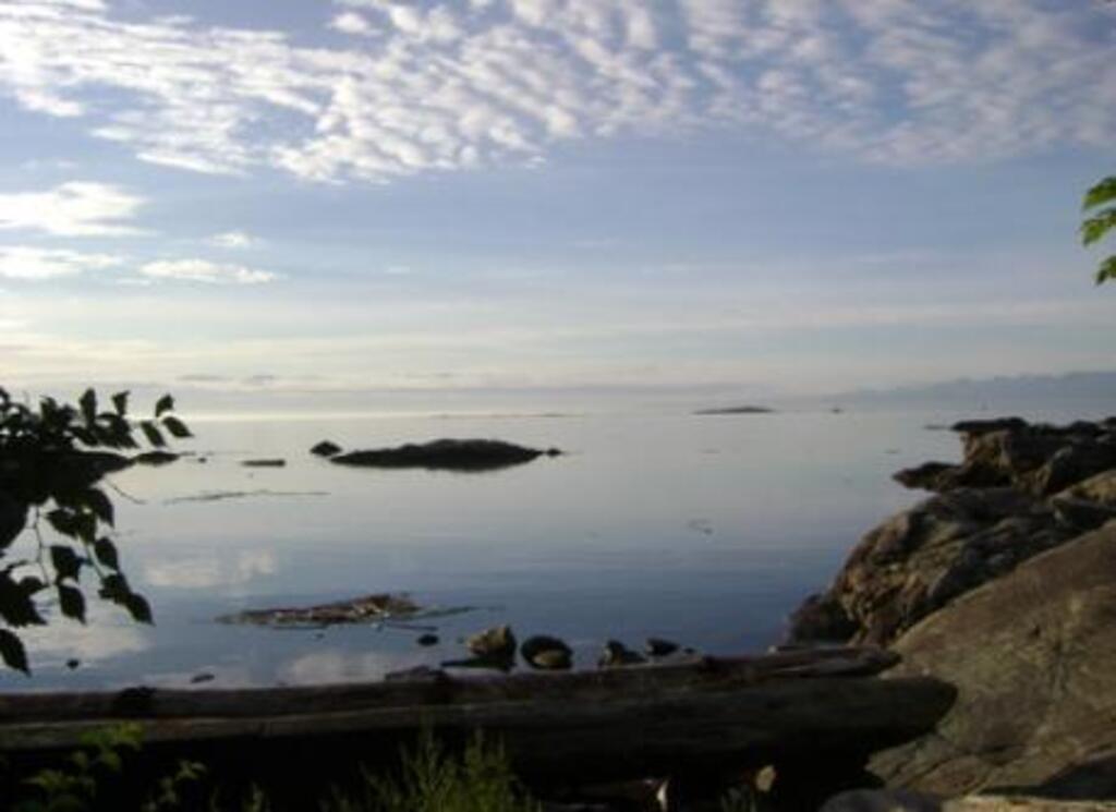 Ocean at end of our street