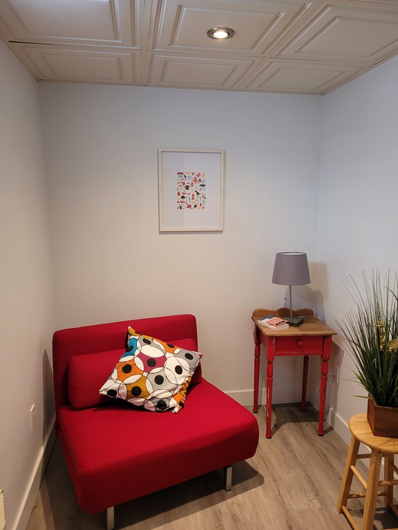 3rd bedroom in the basement with comfortable sofa bed / 3e chambre au sous sol avec canapé lit confortable