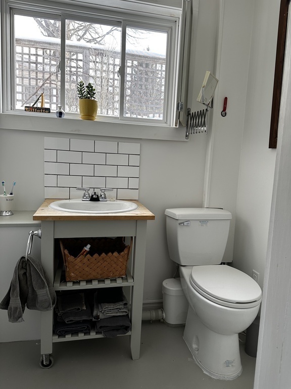 Bathroom on lower level