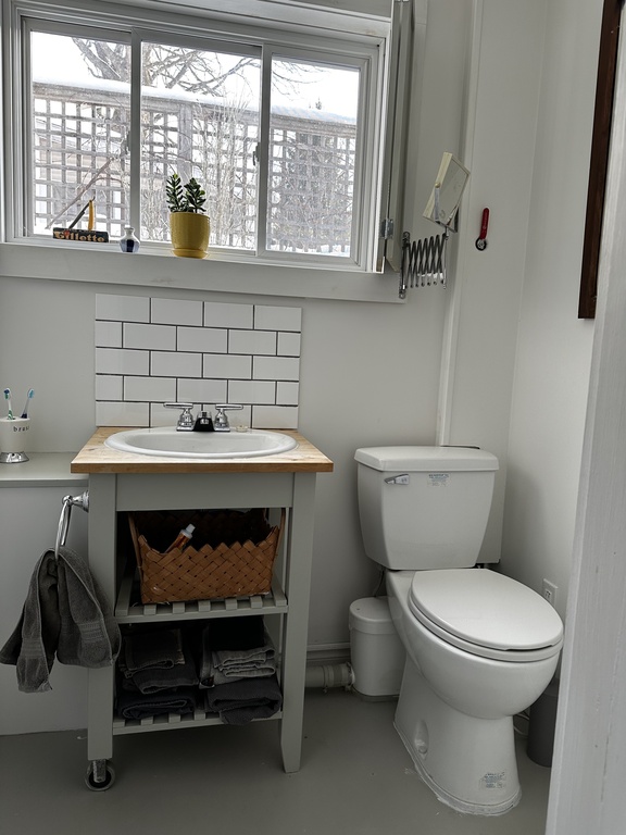 Bathroom on lower level