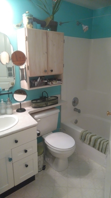 Main bathroom and shower.
