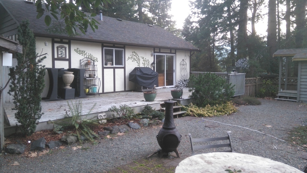 Backyard during the winter.