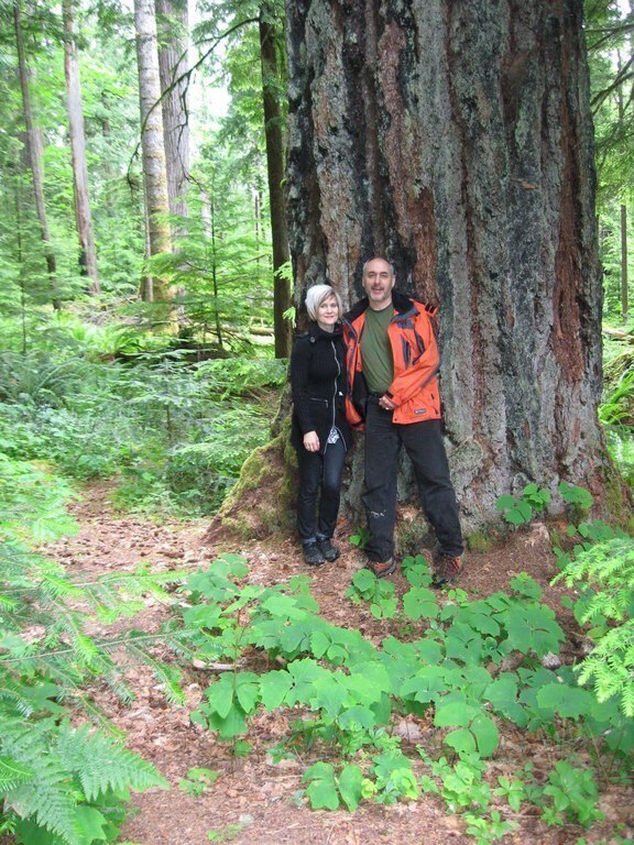 Koksilah Ancient Rain Forest - not yet a designated park, about a half hour drive and a 30 minute hike.