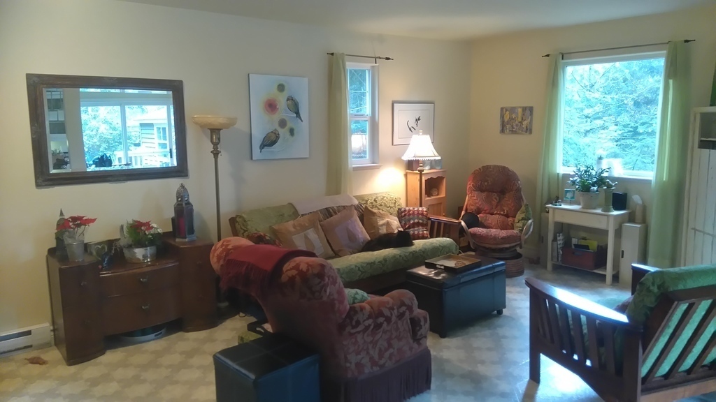 Open space main floor, living area. 