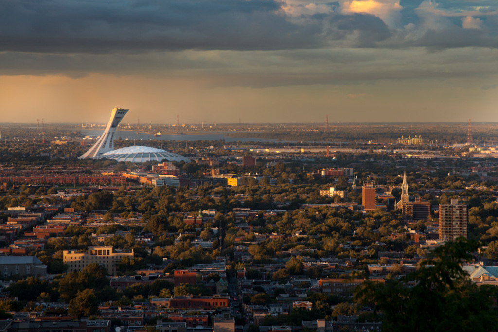 View from top of Mont Royal