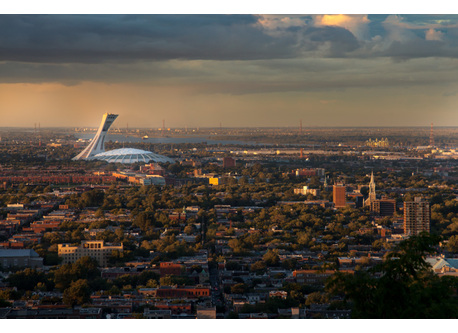 View from top of Mont Royal