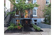 We have a cherry tree, prune tree and lavender in our front garden
