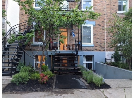 We have a cherry tree, prune tree and lavender in our front garden