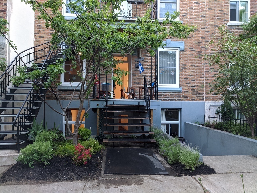 We have a cherry tree, prune tree and lavender in our front garden