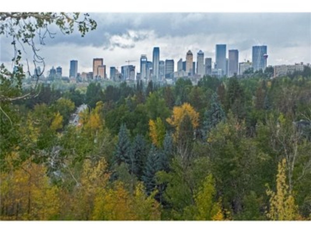 View of downtown from a ridge that is 5 minutes walking distance from our home..