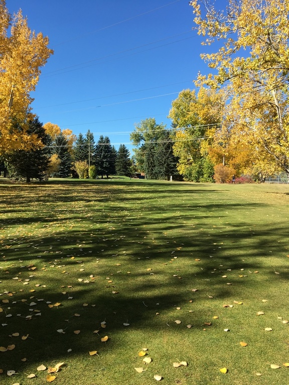 3 public golf courses within 15 minute drive.  Picture taken Sept 29th, 2017.