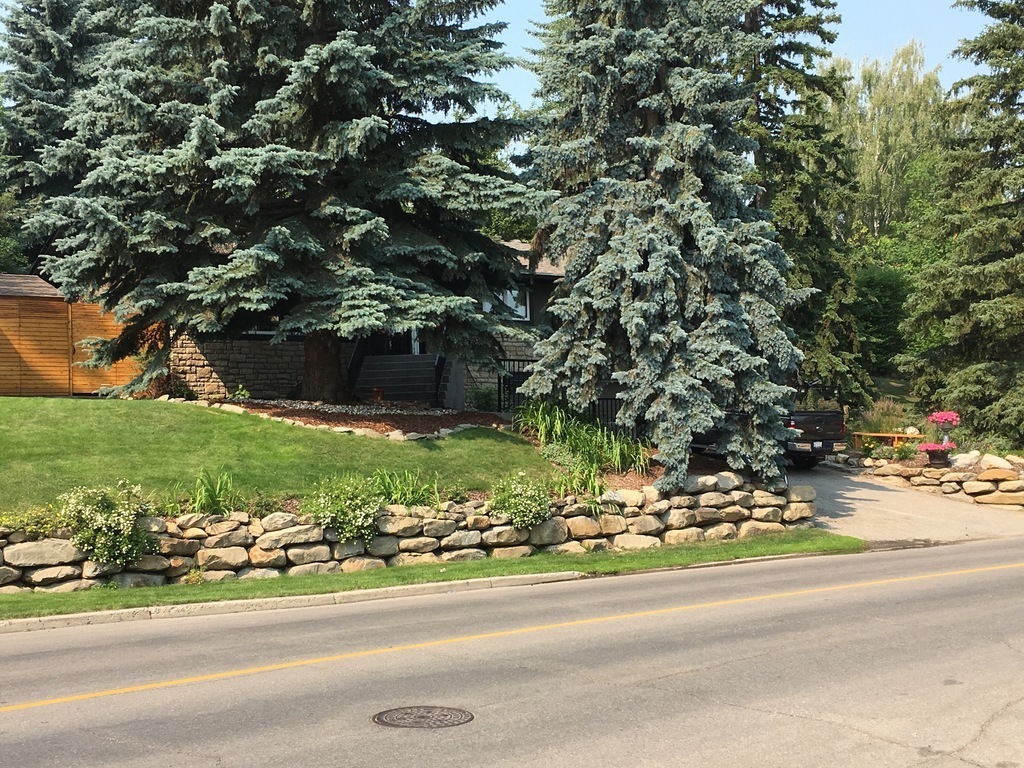 Our home hiding in the trees.  It is a hillside bungalow.