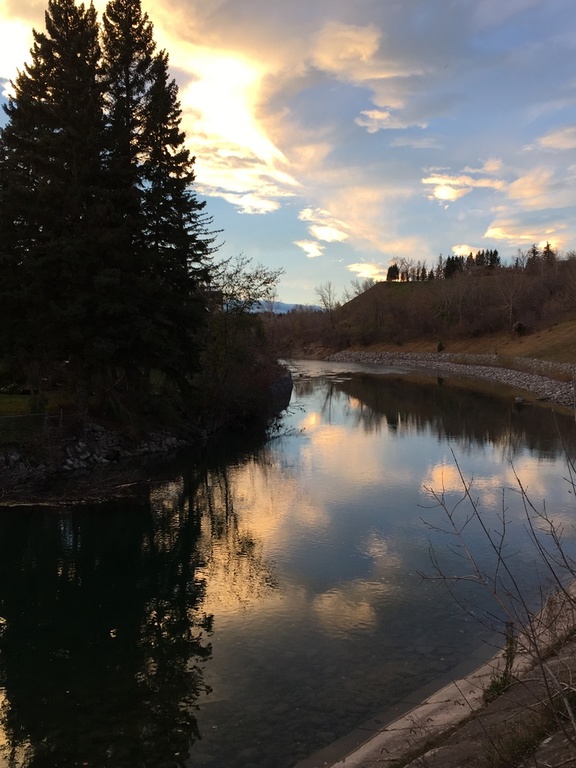 Elbow River, by Stanley park.  About 300m east to this part of the park.)