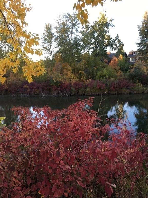 End of September.  Fall colours are appearing.