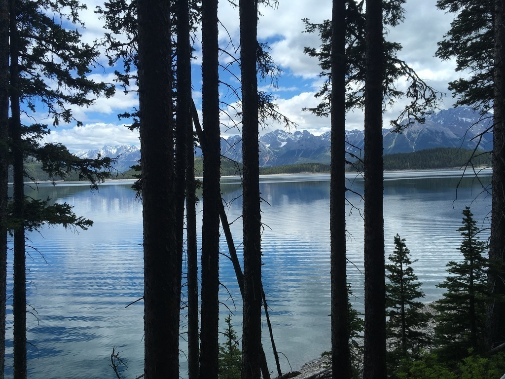 Typical view from hiking trail