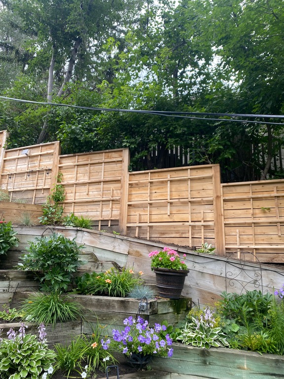 Back yard of our home