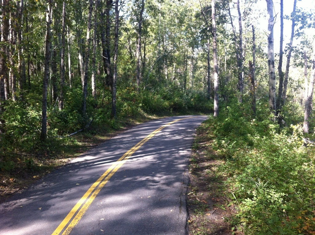 Bike trail around Glenmore diversion.  20km trail connects to our local trail, 5km from house