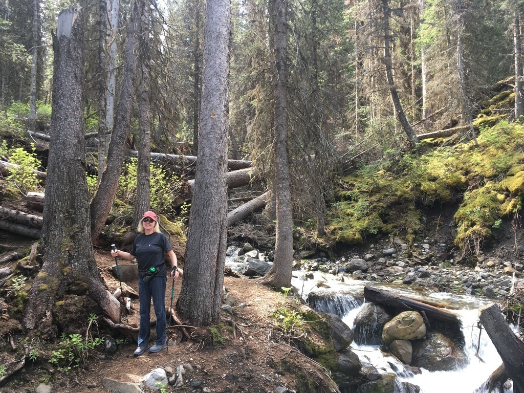 Kananaskis trails:  long, short, easy, difficult, paved, natural, front country, back country.  You choose!