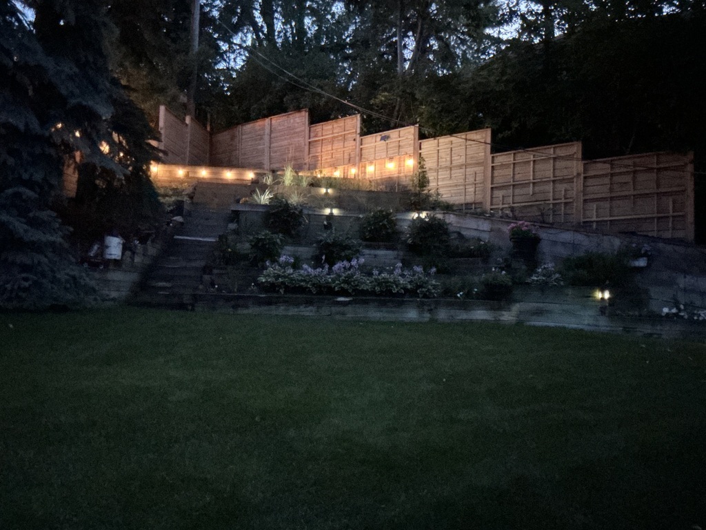 Back yard of our home in early evening 