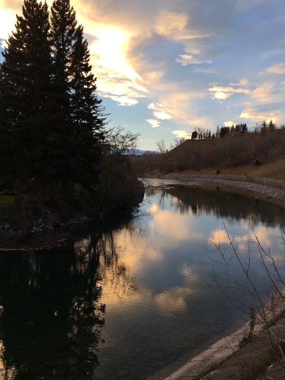 Elbow River, by Stanley park.  About 300m east to this part of the park.)