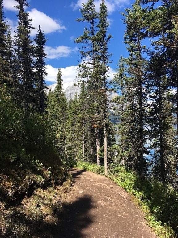 Kananaskis hiking trail, one of many found in the region.  Trails vary from easy to back-country multi day