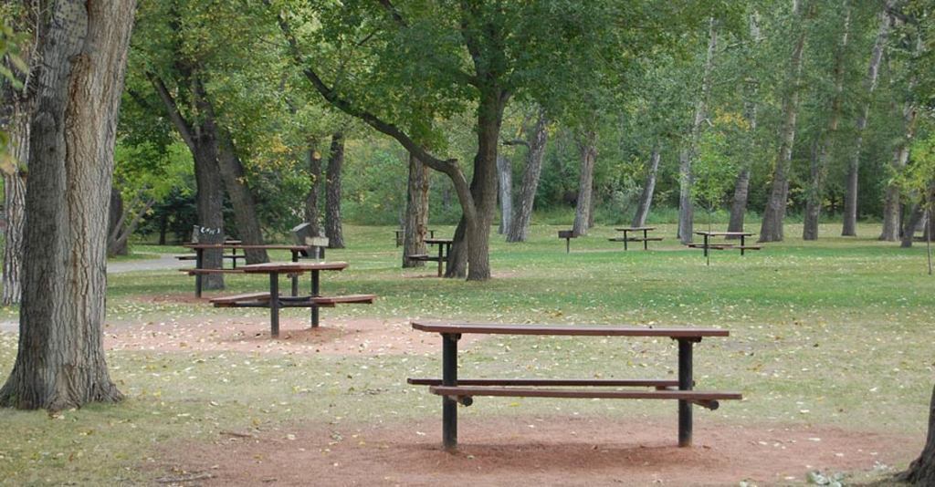 Stanley park, picnic area, 5 minute walk from our home