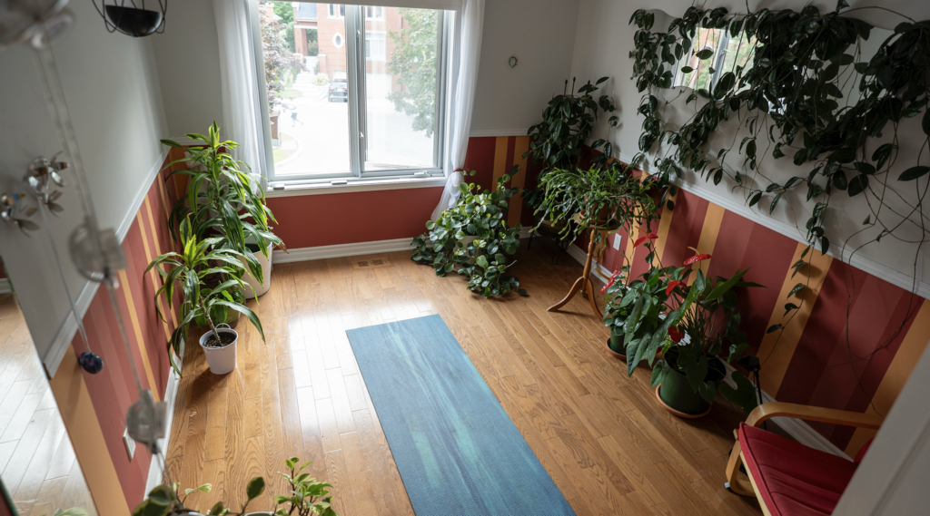 Reading / Yoga Room
