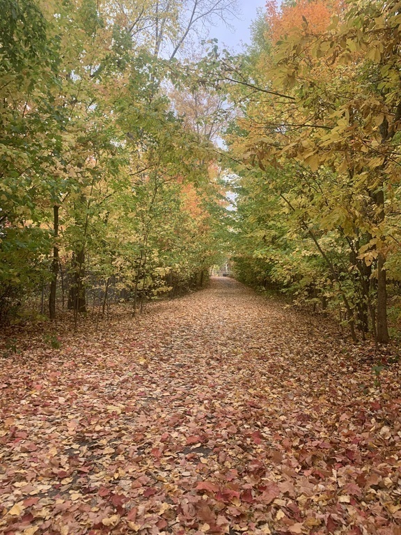 Pedestrian path close to the house
