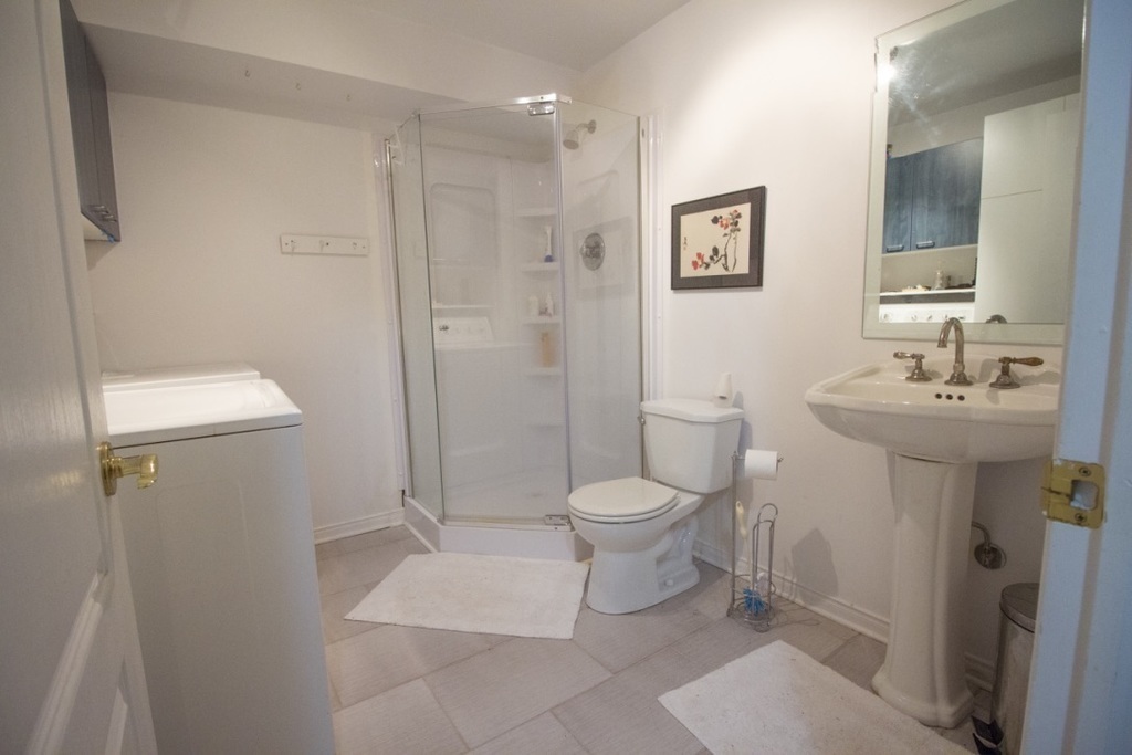 Basement Bathroom - Laundry room