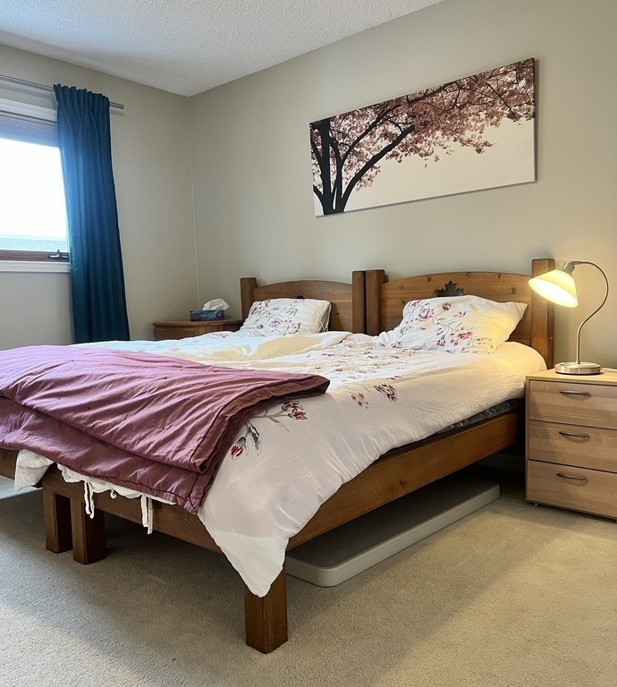 Bedroom #2 - 2 Singles or 1 King 