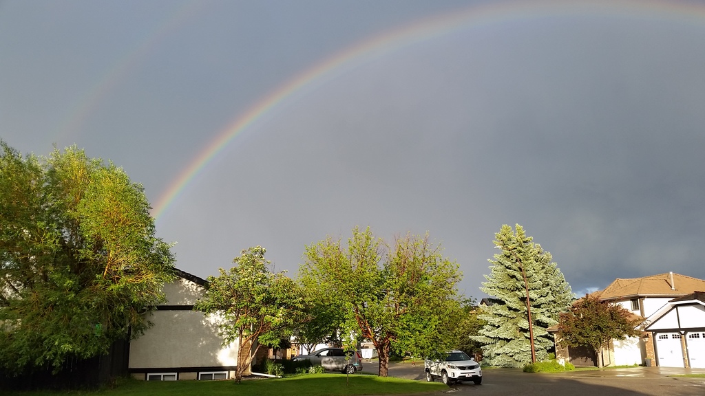 Our house is the white one on the left. This is our street.